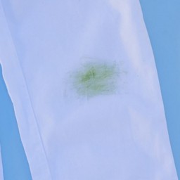 چگونه رنگ چمن را از روی لباس پاک کنیم