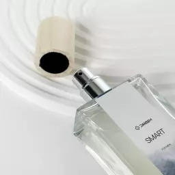 عطر اسمارت (مردانه) 21138