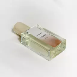 عطر الگانت (مردانه) 21087