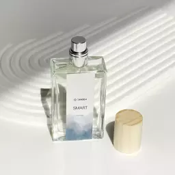 عطر اسمارت (مردانه) 21138