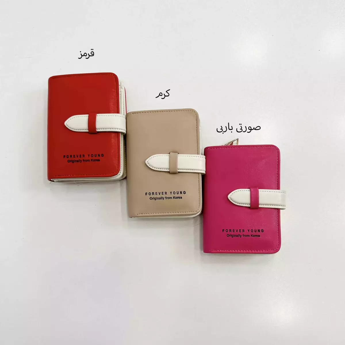 کیف پول 1004887