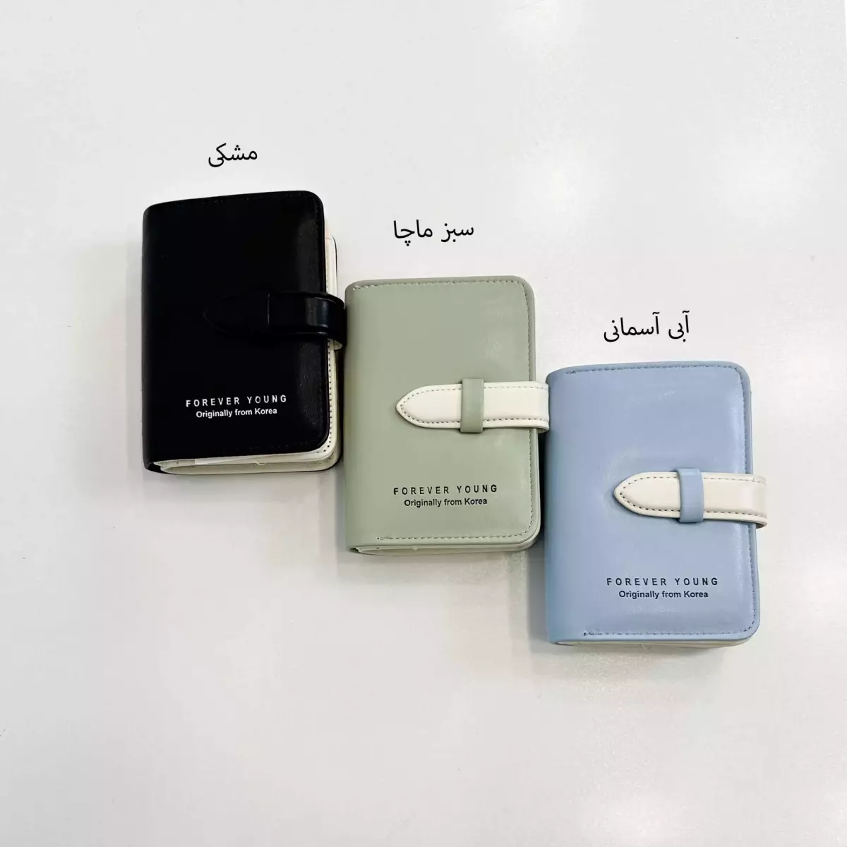 کیف پول 1004887