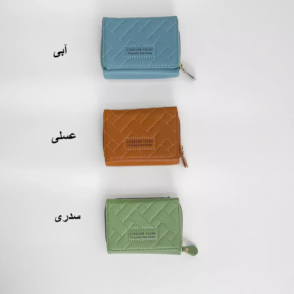 کیف پول 1005068