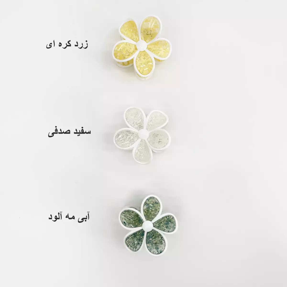 کلیپس1007032
