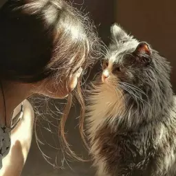 هانیه سرایی