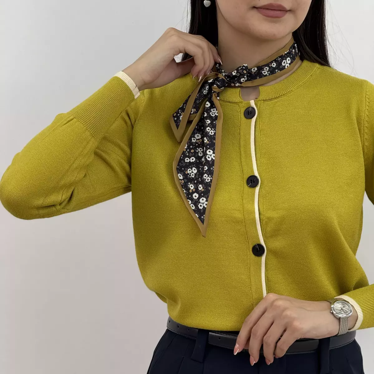 کاردیگان کرواتی 1004853