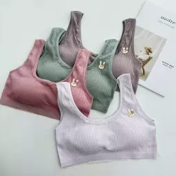 نیم تنه خرگوش 1007540