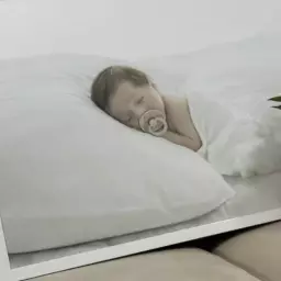 شیما الندانی