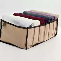 نظم دهنده 1007332