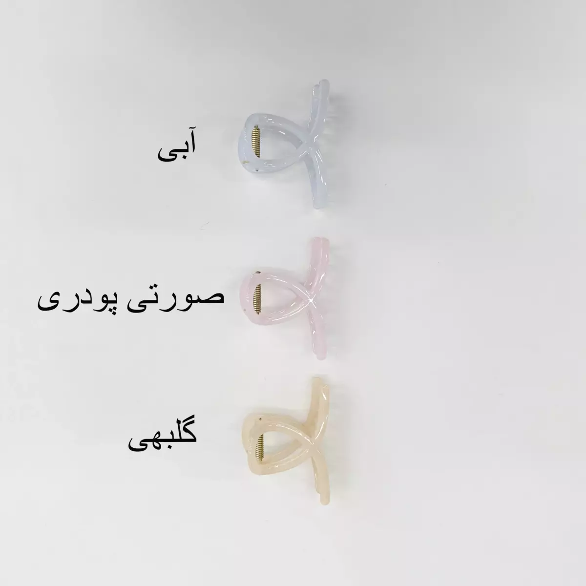 کلیپس اکلیلی 1007919