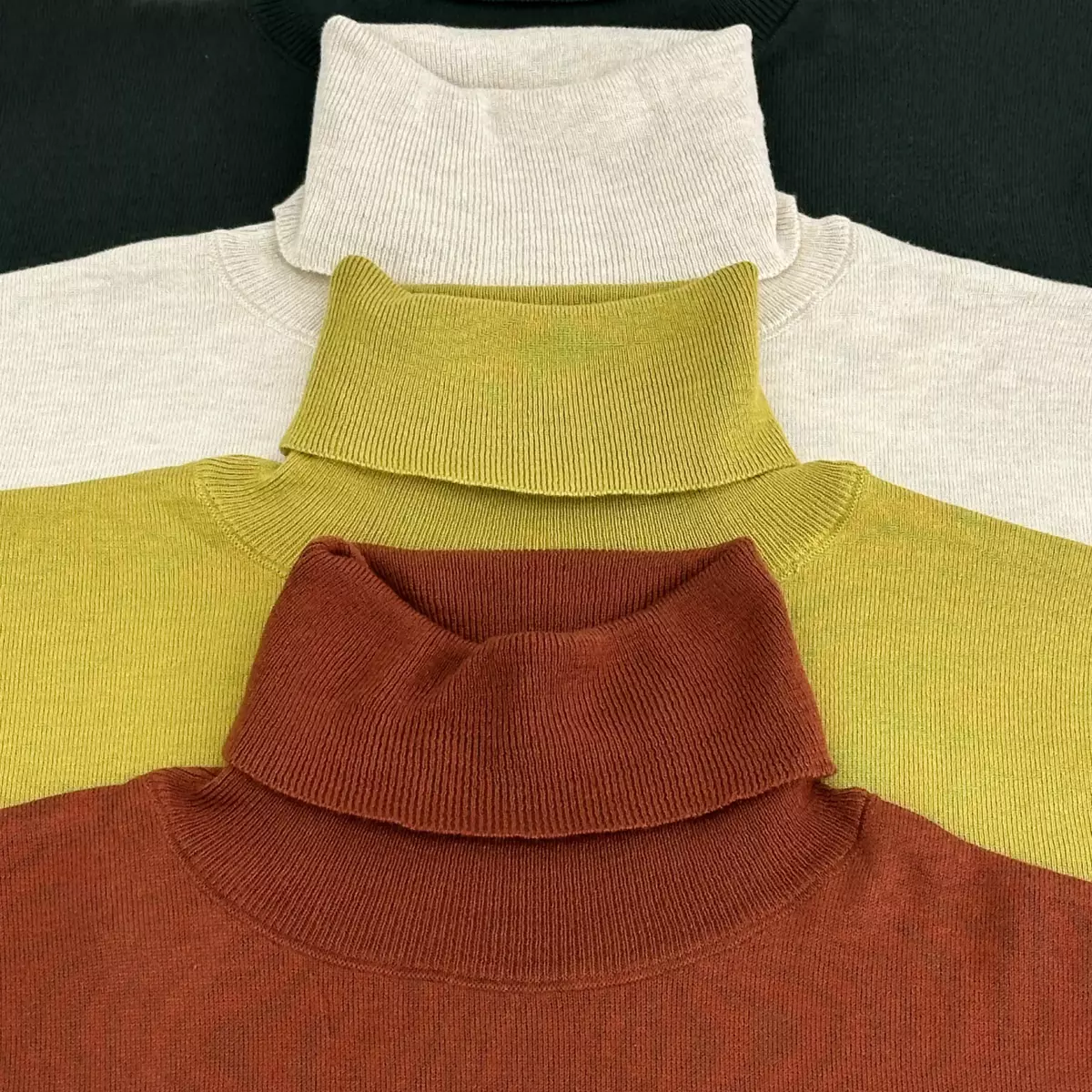 بلوز یقه اسکی مردانه 1008055