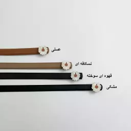 کمربند بابونه 1007658