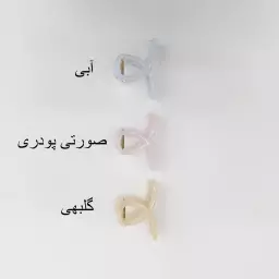کلیپس اکلیلی 1007919