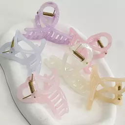 کلیپس اکلیلی 1007919