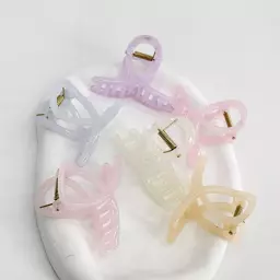 کلیپس اکلیلی 1007919