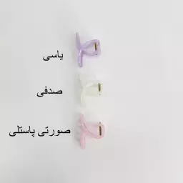 کلیپس اکلیلی 1007919