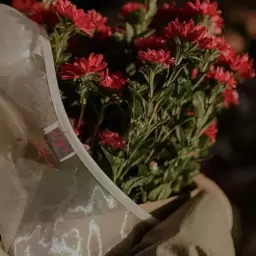 فائزه زینلی