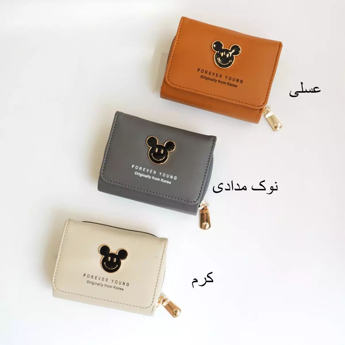 کیف پول 1003025