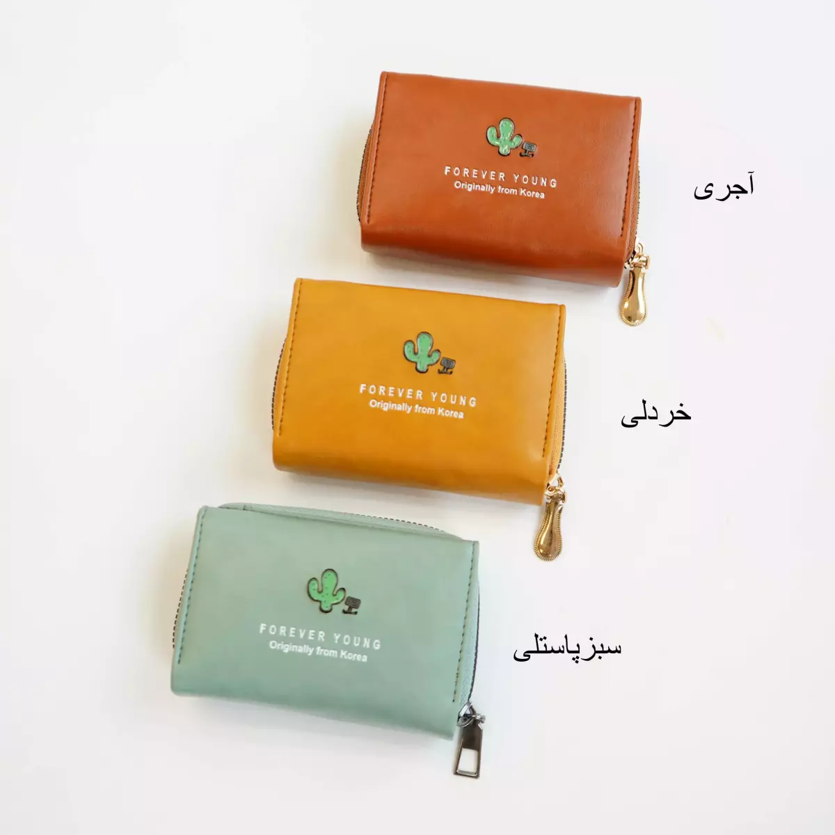 کیف پول کاکتوس 1003222