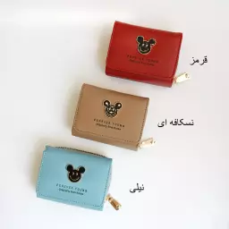 کیف پول 1003025