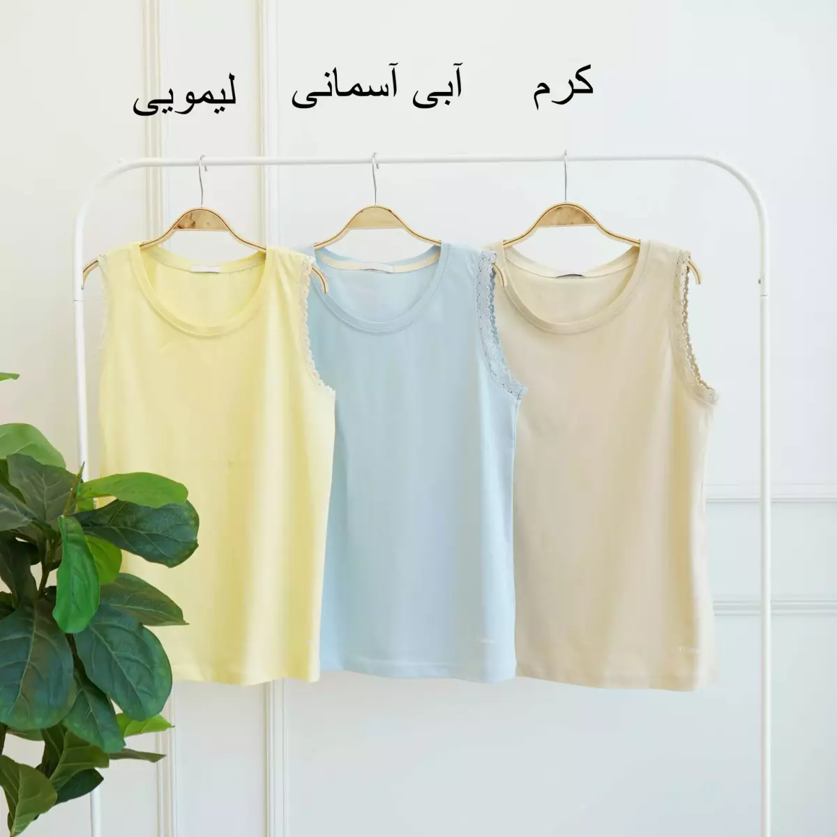 تاپ 1003395