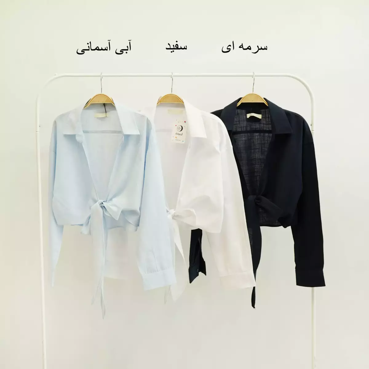 رویه 1003820