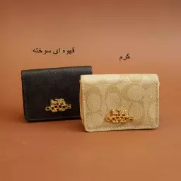 کیف مینی 1004265