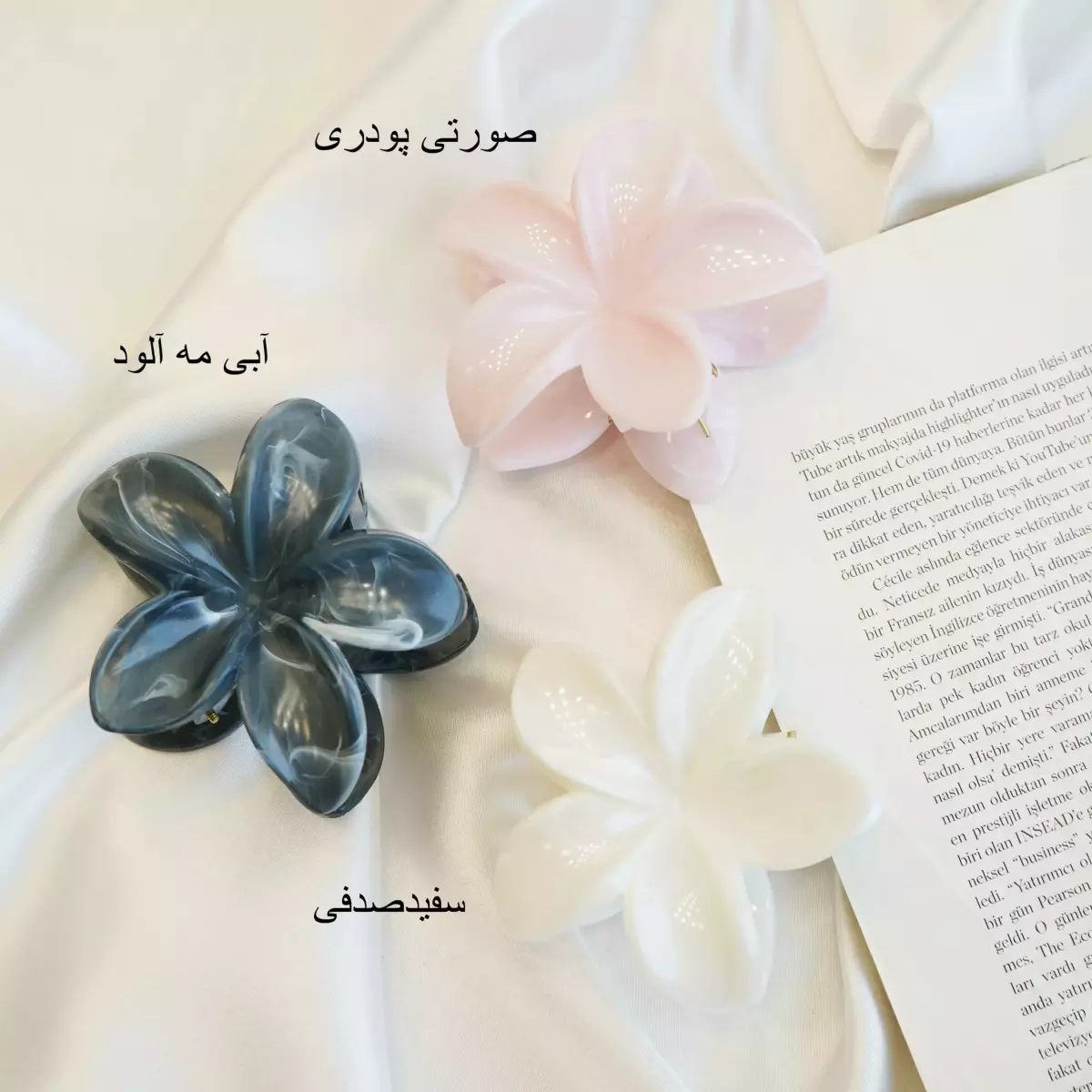 کلیپس 1004472