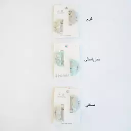 کلیپس 1003910