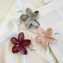 کلیپس 1004472