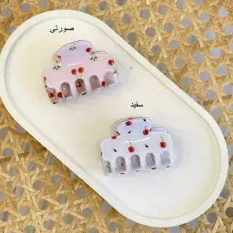 کلیپس آلبالو 1004711
