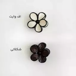 کلیپس ترند 1004727
