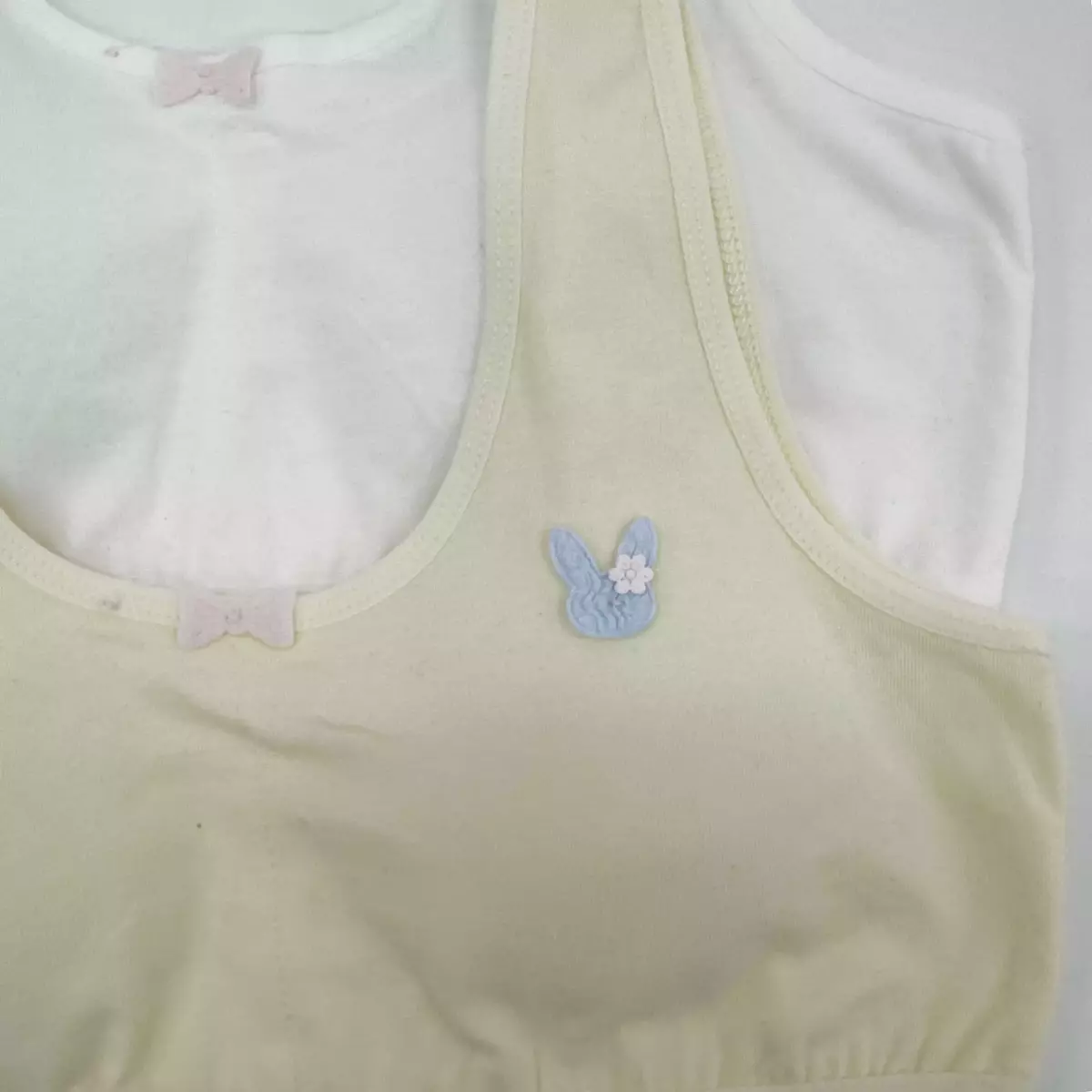 نیم تنه خرگوش 1008238