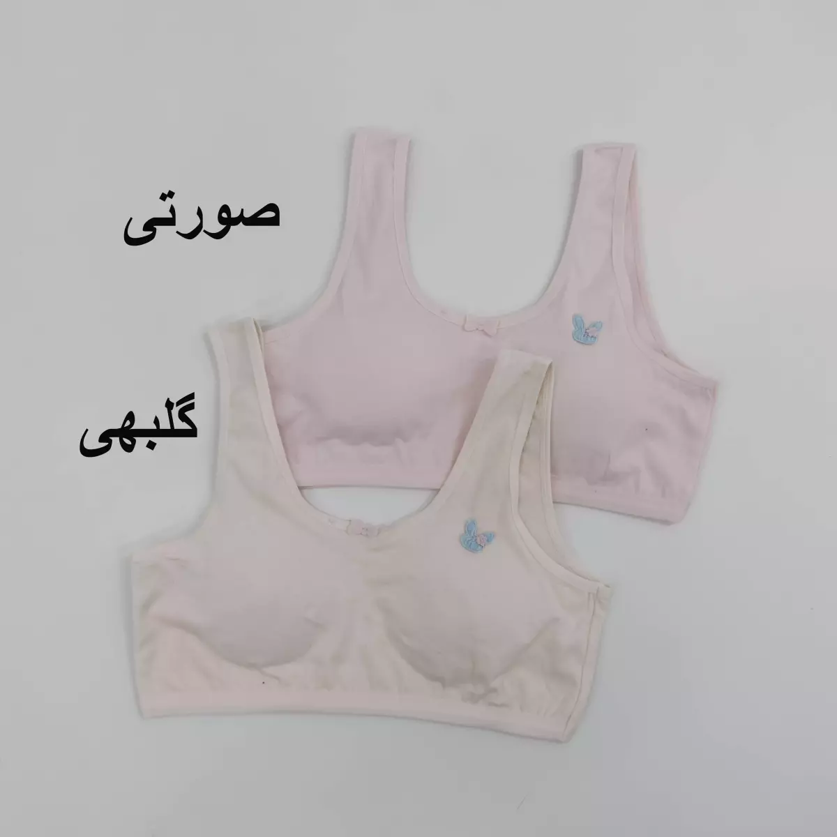 نیم تنه خرگوش 1008238