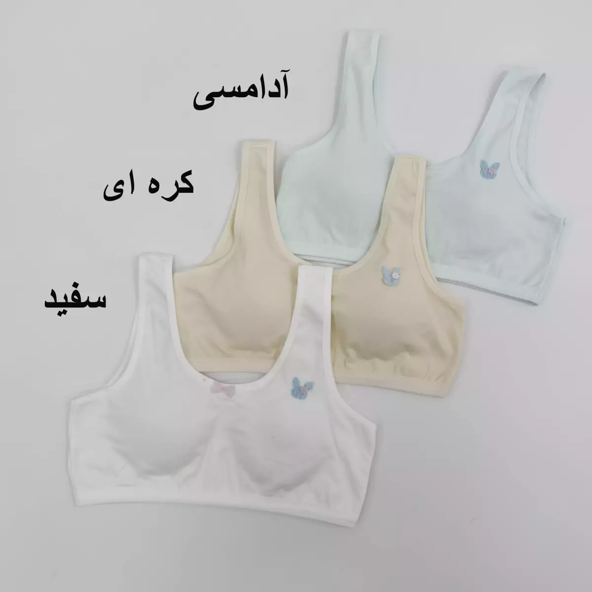 نیم تنه خرگوش 1008238