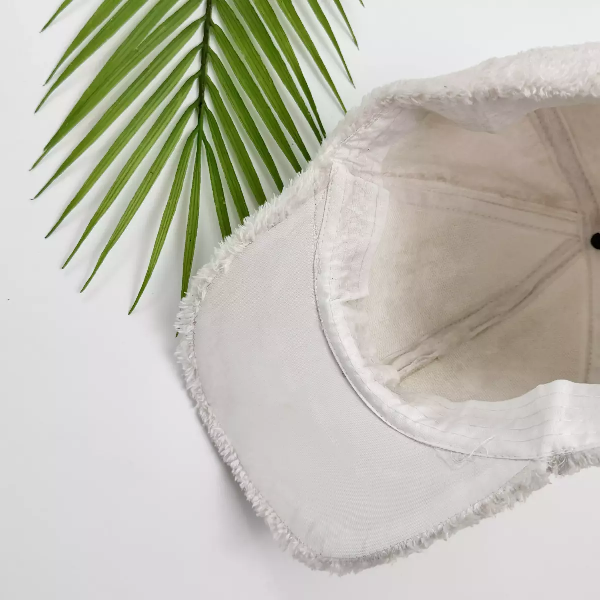 کلاه تدی 1008288