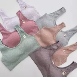 نیم تنه خرگوش 1007540