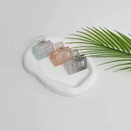 کلیپس آبرنگی 1008267