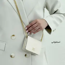 کیف زنانه مینیمال سلین | آی بولک