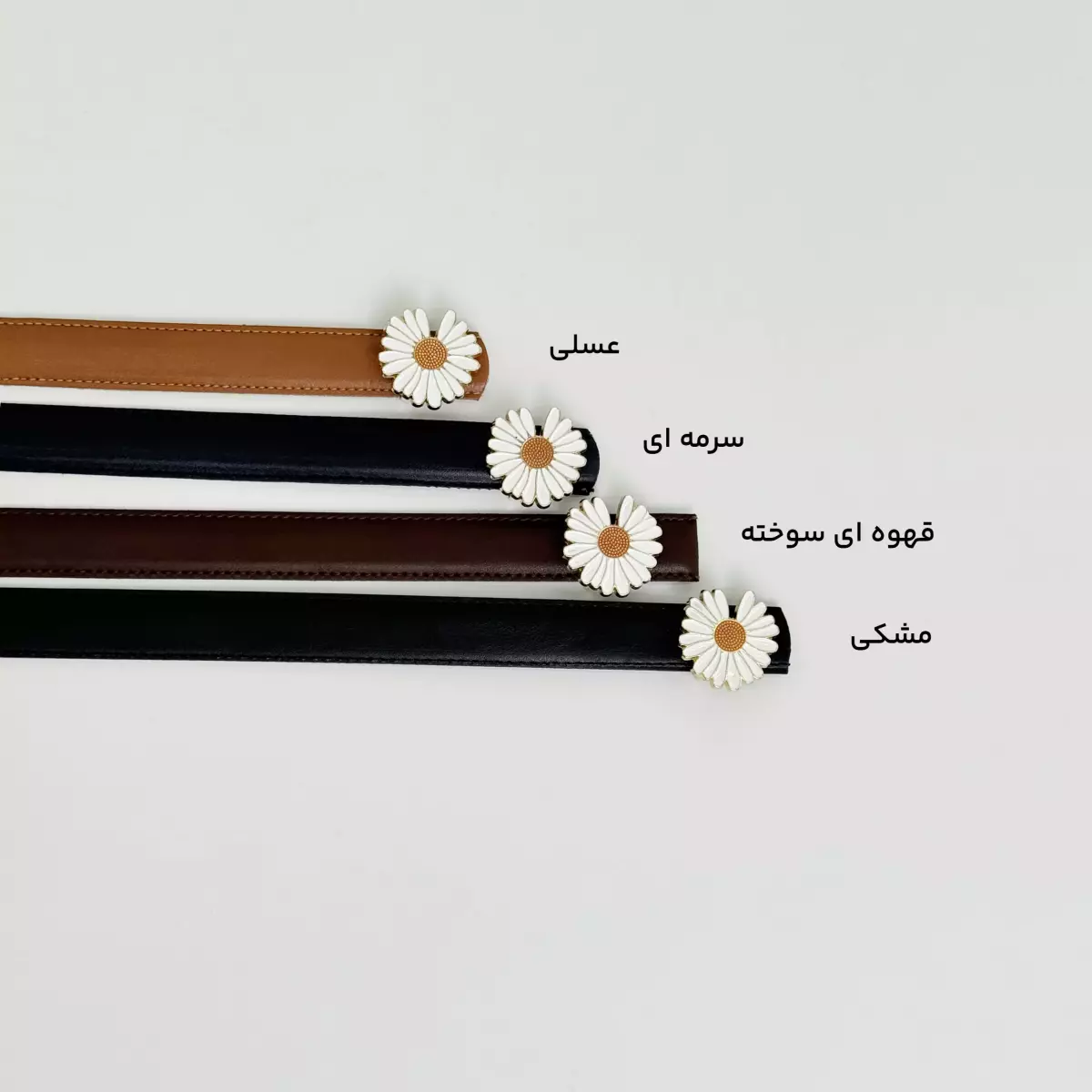 کمربند بابونه 1007658