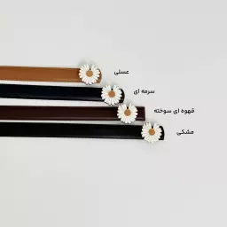 کمربند بابونه 1007658