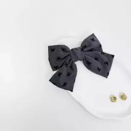 گیره مو پاپیون 1008740