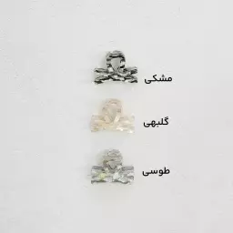 کلیپس زنانه گلد