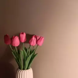 هما کارنما