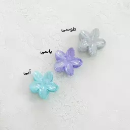 کلیپس گل زنانه