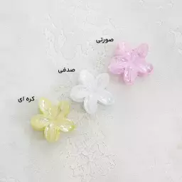 کلیپس گل زنانه