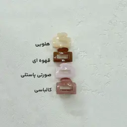 کلیپس اکلیلی مینی دخترانه