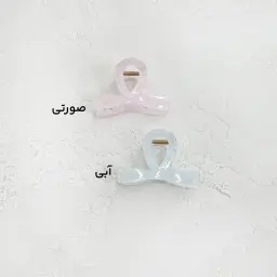 کلیپس زنانه شاین پاپیون
