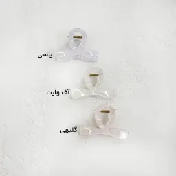 کلیپس زنانه شاین پاپیون
