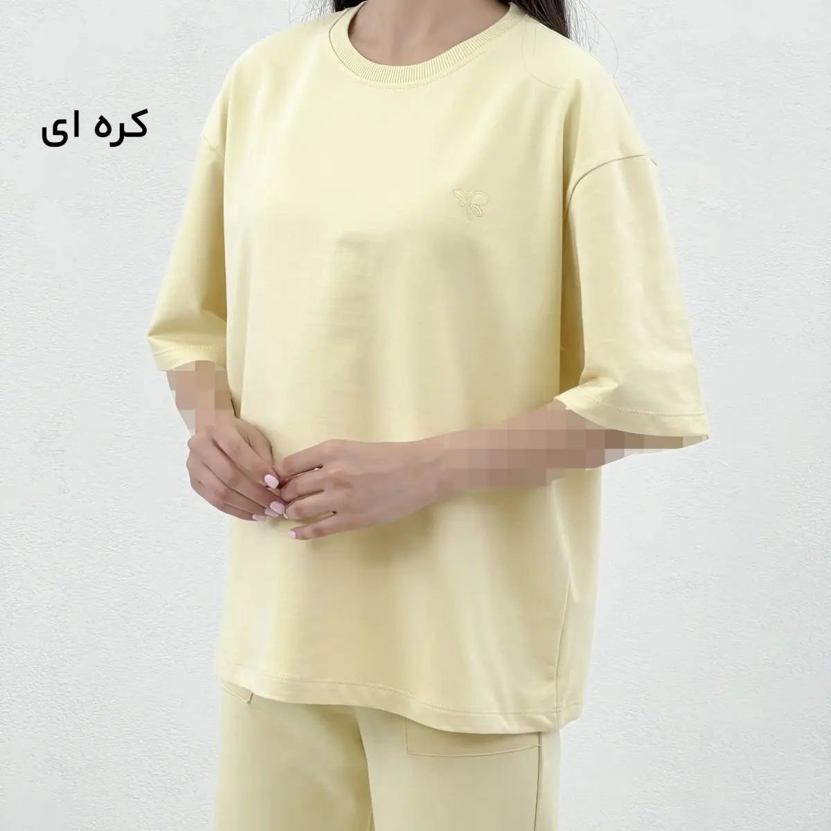 تیشرت زنانه گلدوزی پروانه | آی بولک